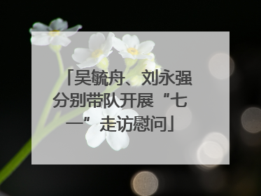 吴毓舟、刘永强分别带队开展“七一”走访慰问