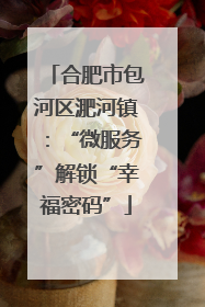 合肥市包河区淝河镇：“微服务”解锁“幸福密码”
