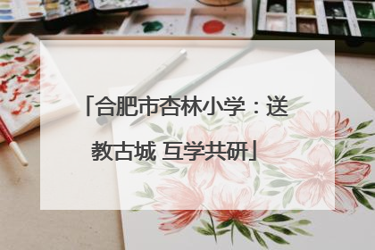 合肥市杏林小学：送教古城 互学共研