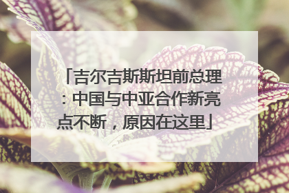 吉尔吉斯斯坦前总理：中国与中亚合作新亮点不断，原因在这里