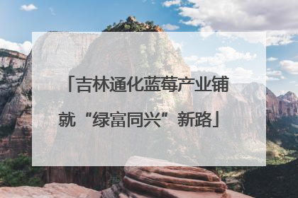 吉林通化蓝莓产业铺就“绿富同兴”新路