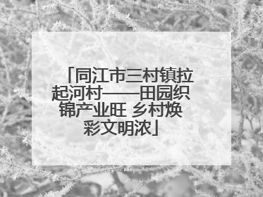 同江市三村镇拉起河村——田园织锦产业旺 乡村焕彩文明浓