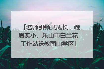 名师引领共成长，峨眉实小、乐山市白兰花工作站送教南山学区