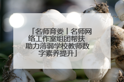 名师育娄丨名师网络工作室组团帮扶 助力薄弱学校教师数字素养提升
