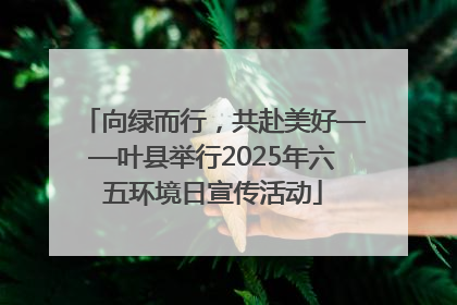 向绿而行，共赴美好——叶县举行2025年六五环境日宣传活动