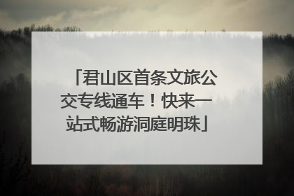 君山区首条文旅公交专线通车！快来一站式畅游洞庭明珠