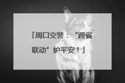 周口交警：“跨省联动”护平安！