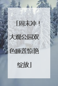 周末冲！大观公园双色睡莲惊艳绽放