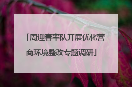 周迎春率队开展优化营商环境整改专题调研
