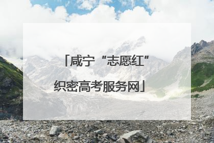 咸宁“志愿红”织密高考服务网