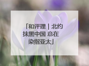 和评理｜北约抹黑中国 意在染指亚太