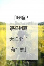 咔嚓！跟福州夏天拍个“荷”照