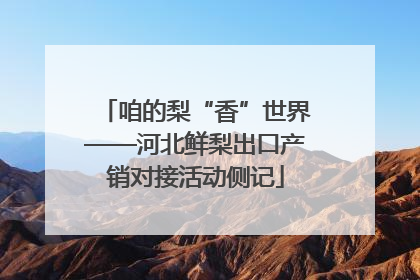 咱的梨“香”世界——河北鲜梨出口产销对接活动侧记