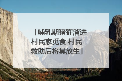 哺乳期猪獾溜进村民家觅食 村民救助后将其放生