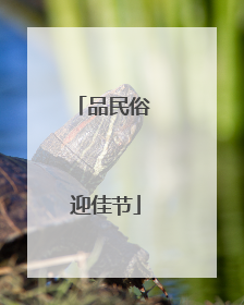 品民俗 迎佳节