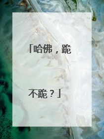 哈佛，跪不跪？
