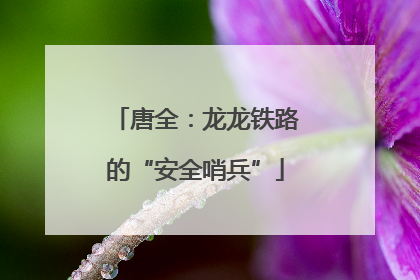 唐全：龙龙铁路的“安全哨兵”