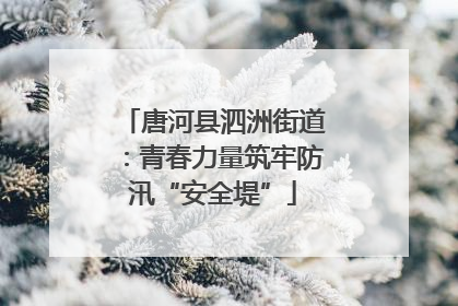 唐河县泗洲街道：青春力量筑牢防汛“安全堤”