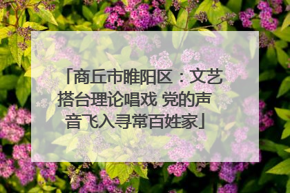 商丘市睢阳区：文艺搭台理论唱戏 党的声音飞入寻常百姓家