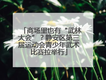 商场里也有“武林大会”？静安区第三届运动会青少年武术比赛拉举行