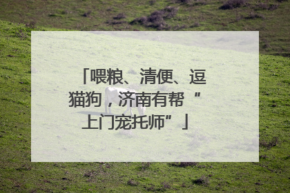 喂粮、清便、逗猫狗，济南有帮“上门宠托师”