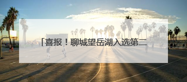 喜报！聊城望岳湖入选第二批省级美丽河湖典型案例