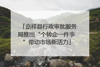 嘉祥县行政审批服务局推出“个转企一件事”带动市场新活力
