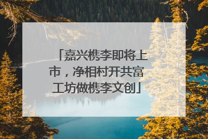 嘉兴槜李即将上市，净相村开共富工坊做槜李文创