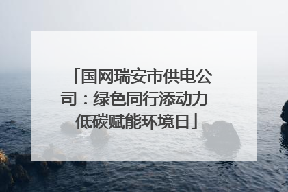 国网瑞安市供电公司：绿色同行添动力 低碳赋能环境日