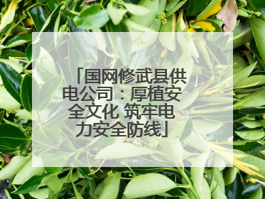 国网修武县供电公司：厚植安全文化 筑牢电力安全防线