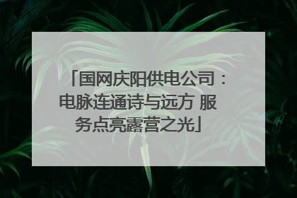 国网庆阳供电公司：电脉连通诗与远方 服务点亮露营之光