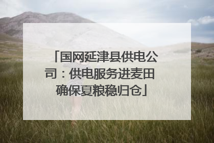 国网延津县供电公司：供电服务进麦田 确保夏粮稳归仓