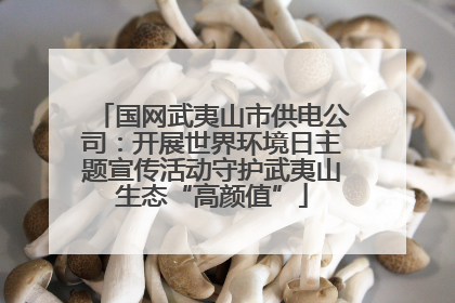 国网武夷山市供电公司：开展世界环境日主题宣传活动守护武夷山生态“高颜值”