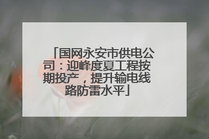 国网永安市供电公司：迎峰度夏工程按期投产，提升输电线路防雷水平