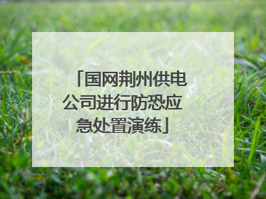 国网荆州供电公司进行防恐应急处置演练