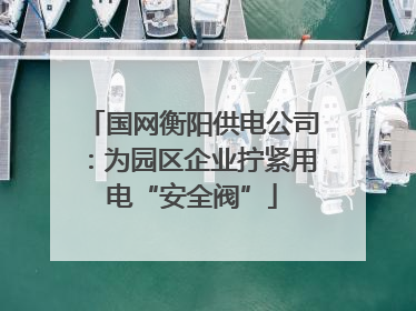 国网衡阳供电公司：为园区企业拧紧用电“安全阀”