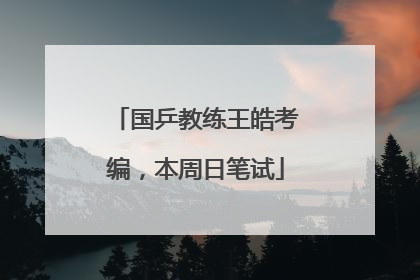 国乒教练王皓考编，本周日笔试