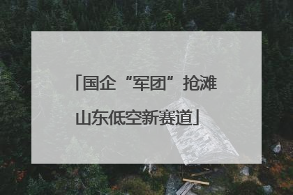 国企“军团”抢滩山东低空新赛道