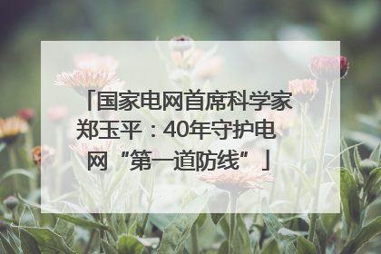 国家电网首席科学家郑玉平：40年守护电网“第一道防线”