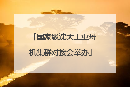国家级沈大工业母机集群对接会举办