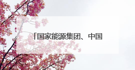 国家能源集团、中国华电，先后与这一省份签署重磅协议！