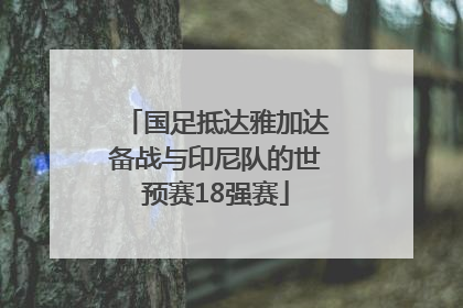 国足抵达雅加达备战与印尼队的世预赛18强赛