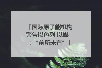 国际原子能机构警告以色列 以媒：“前所未有”