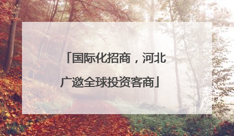 国际化招商，河北广邀全球投资客商