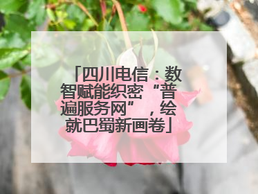 四川电信：数智赋能织密“普遍服务网”，绘就巴蜀新画卷