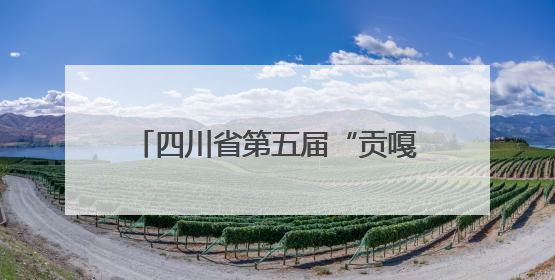 四川省第五届“贡嘎杯”男子排球（初中组）总决赛开赛 自贡这支队伍打进半决赛