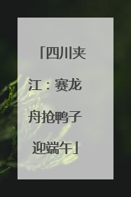 四川夹江：赛龙舟抢鸭子迎端午