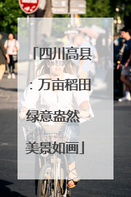 四川高县：万亩稻田绿意盎然 美景如画