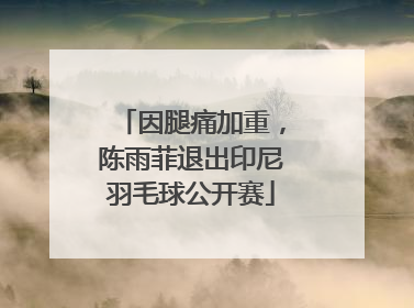 因腿痛加重，陈雨菲退出印尼羽毛球公开赛