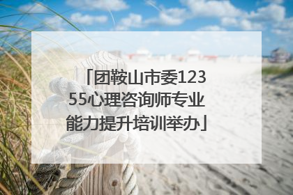团鞍山市委12355心理咨询师专业能力提升培训举办